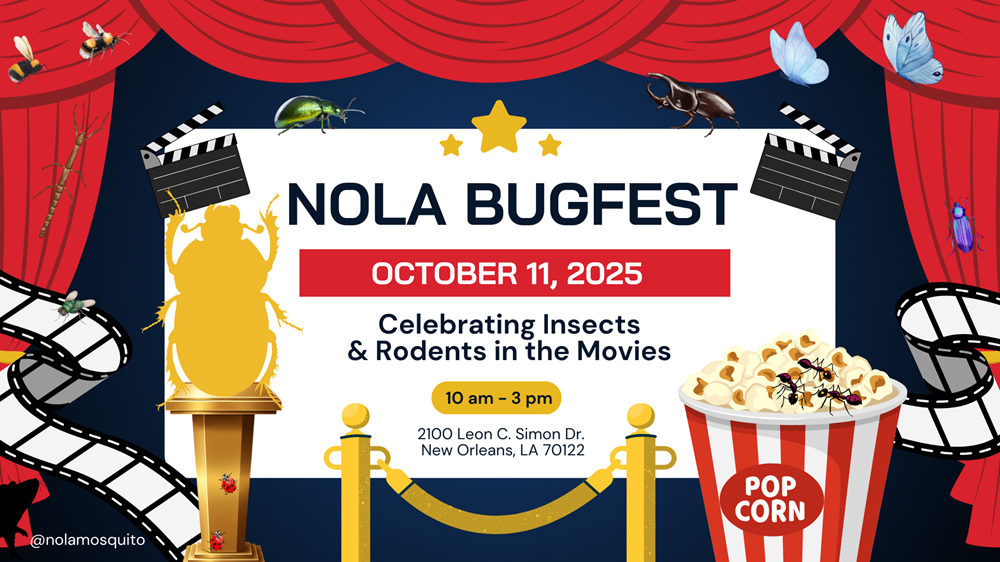 Bug Feast Funny Picture