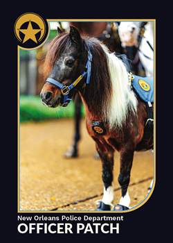 NOPD mini horse Patch