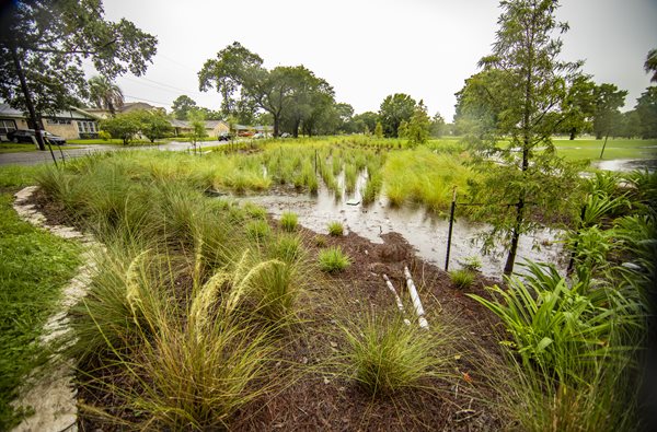 This picture shows the bioswale beside Joseph Bartholomew Golf Course after a recent rain.