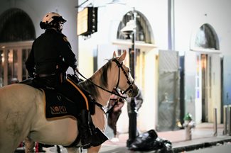 NOPD white horse and officer in the french quarter at night