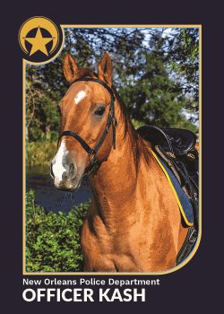 Officer Kash brown NOPD Mounted Unit Horse