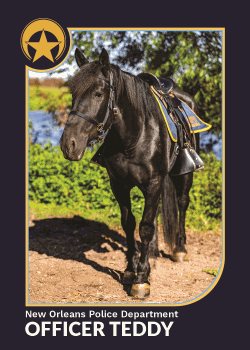 Officer Teddy Black NOPD Mounted Unit Horese
