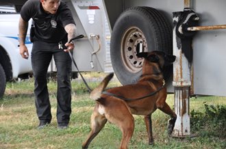 nopd officer with police dog from k9 unit during search under car