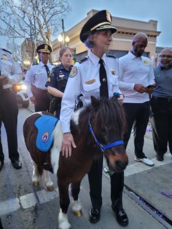 NOPD officer Patch mini horse with superintendent Kirkpatrick