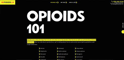 Screenshot of nopioids.la