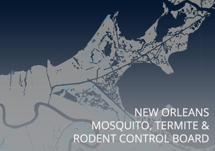 Mosquito City of New Orleans