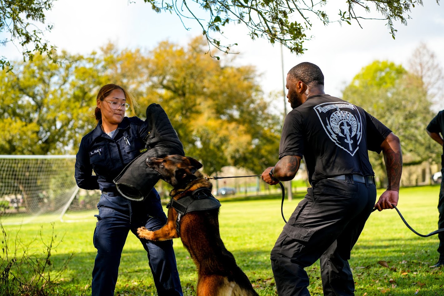 nopd police dog training with officer